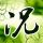 歌曲呼伦贝尔大草原原唱